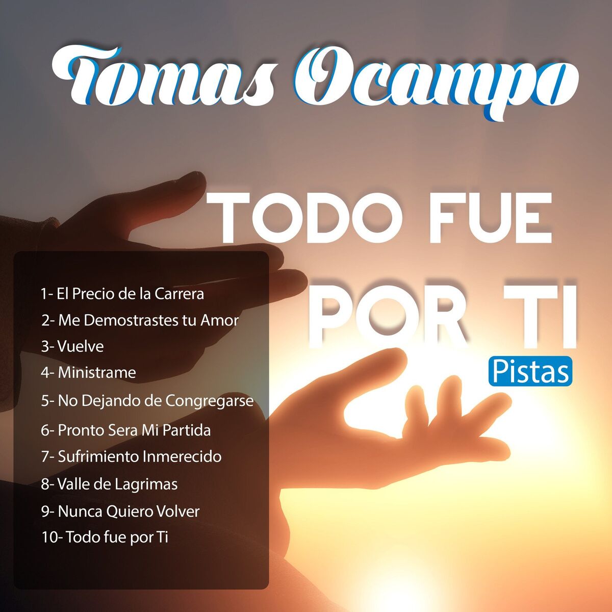 Album cover of Todo Fue por ti pistas