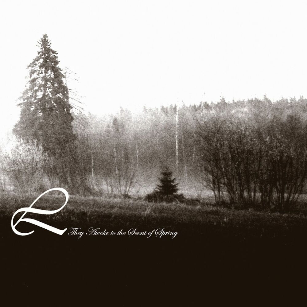 Picture of They Awoke the Scent of Winter