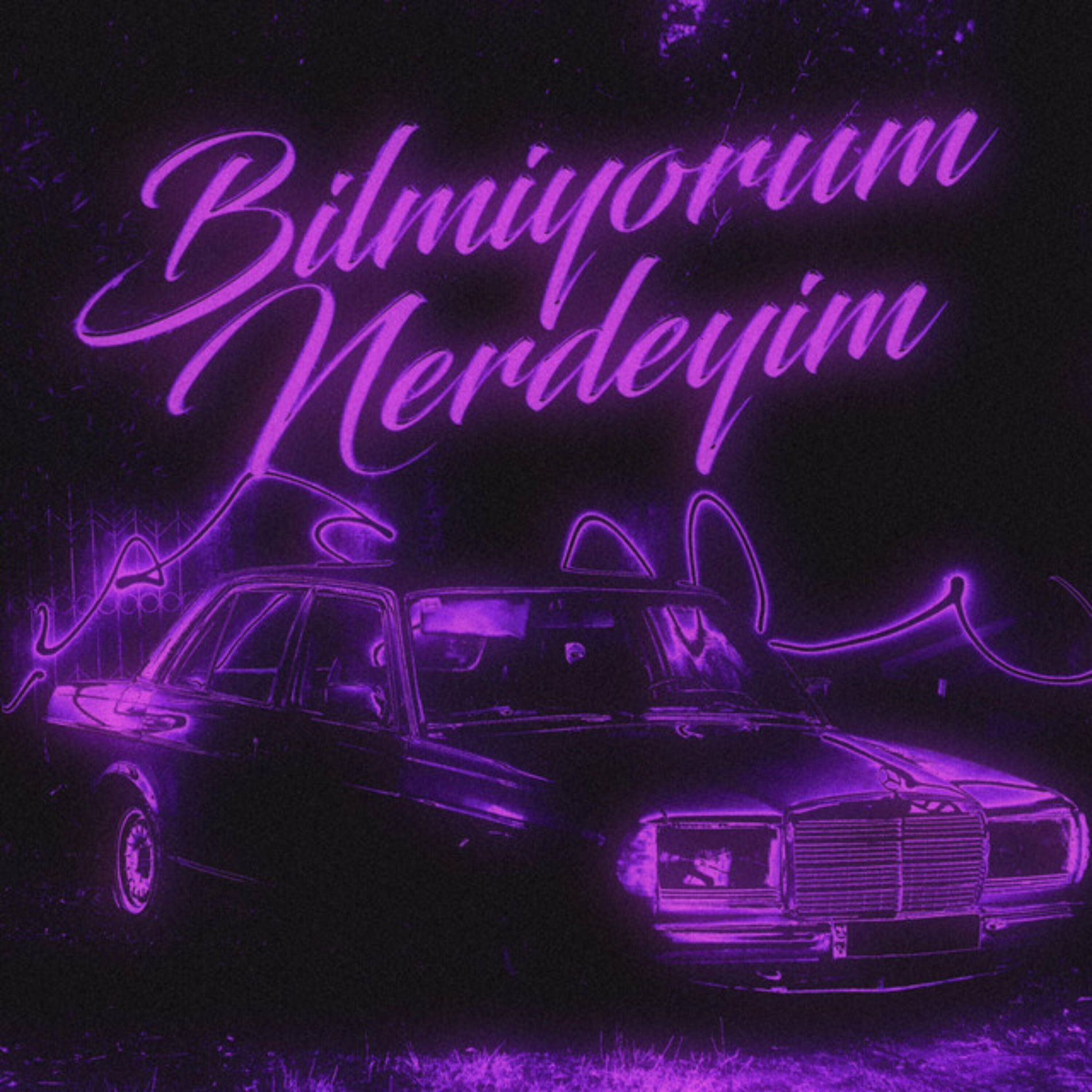 Album cover of Bilmiyorum Nerdeyim