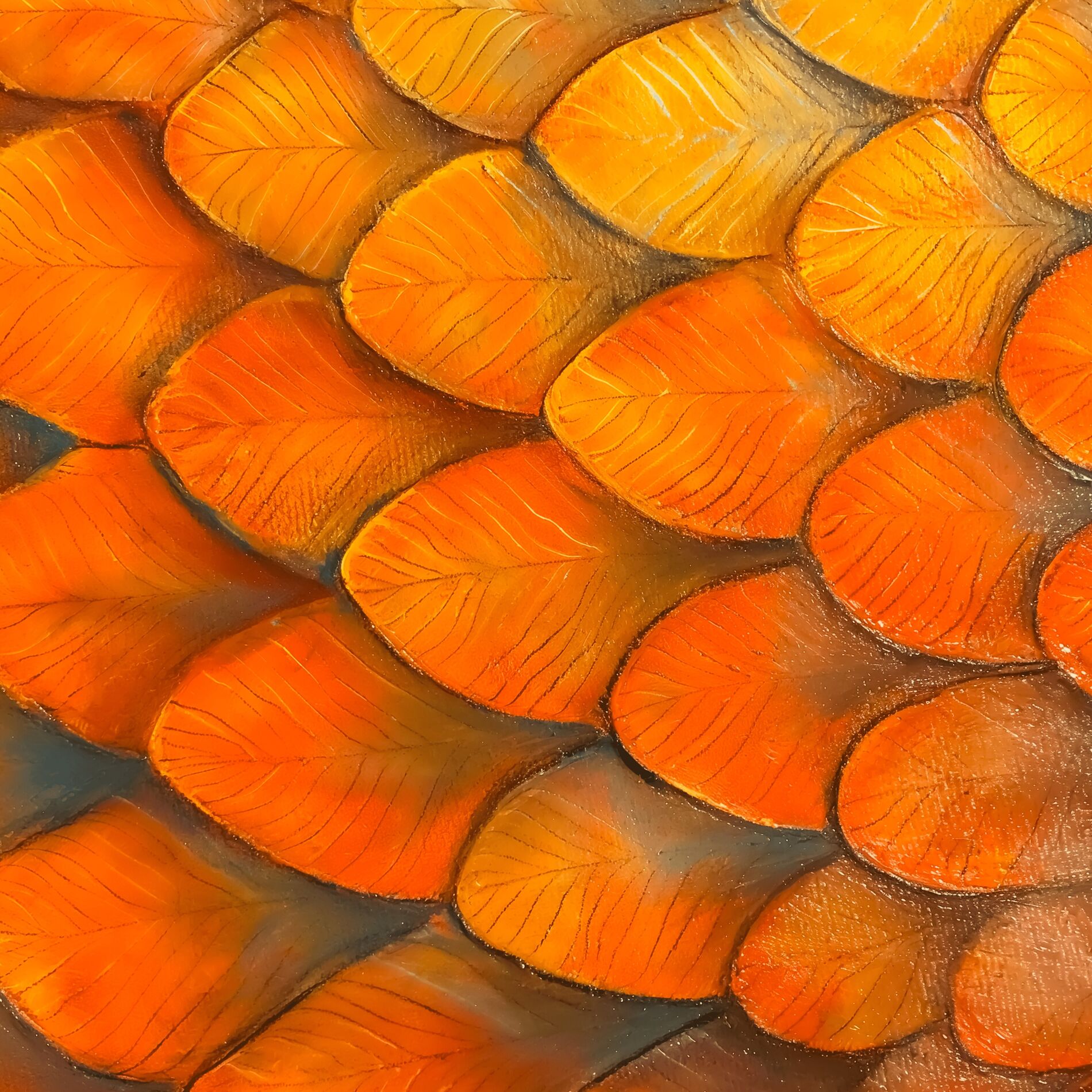 Album cover of FISH
