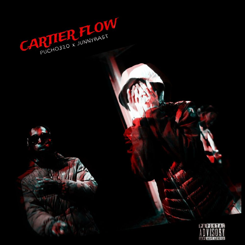 Picture of Cartier Flow