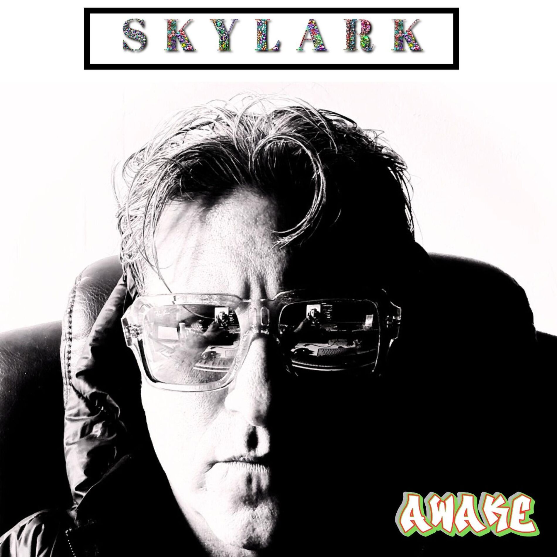 Album cover of Awake