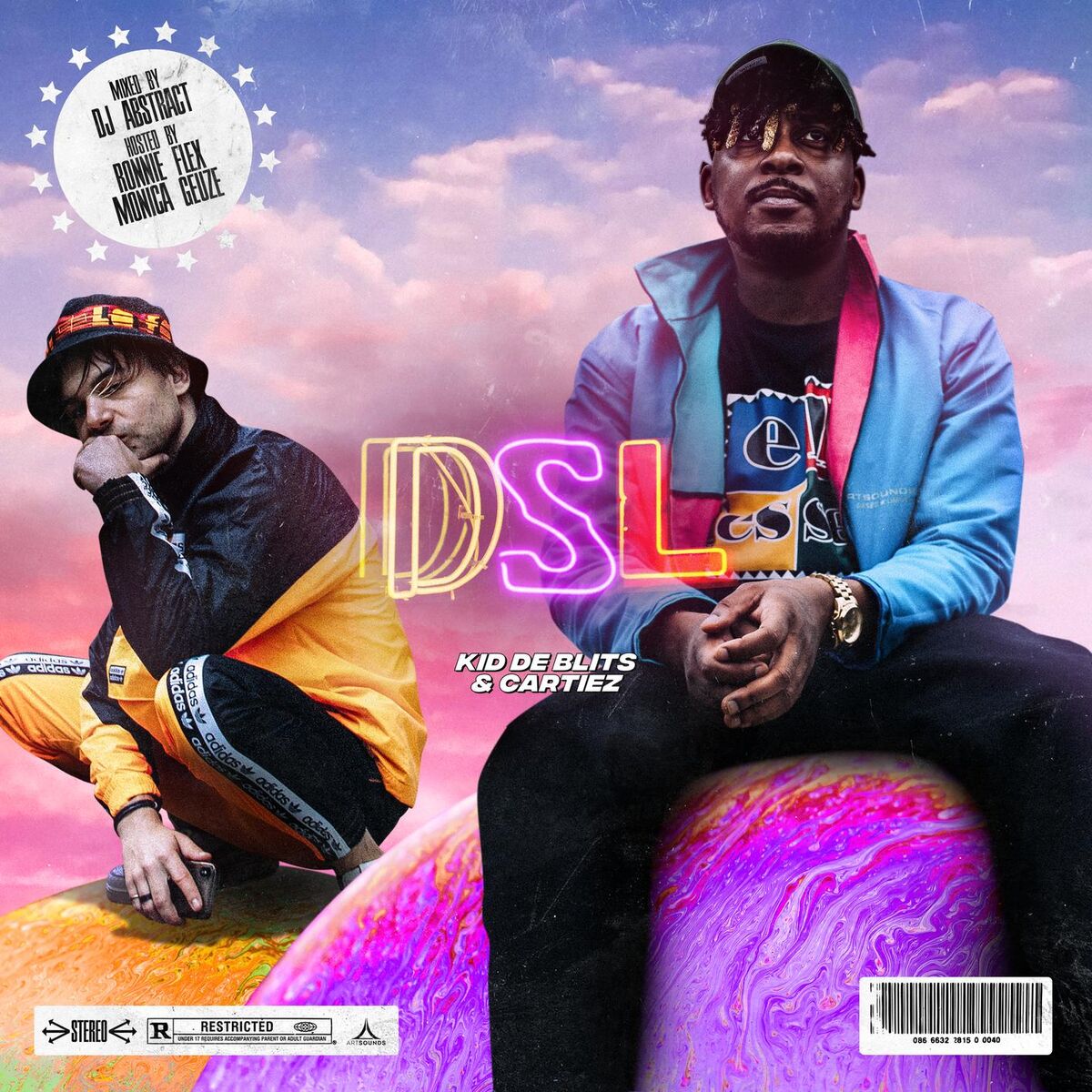 Album cover of DSL