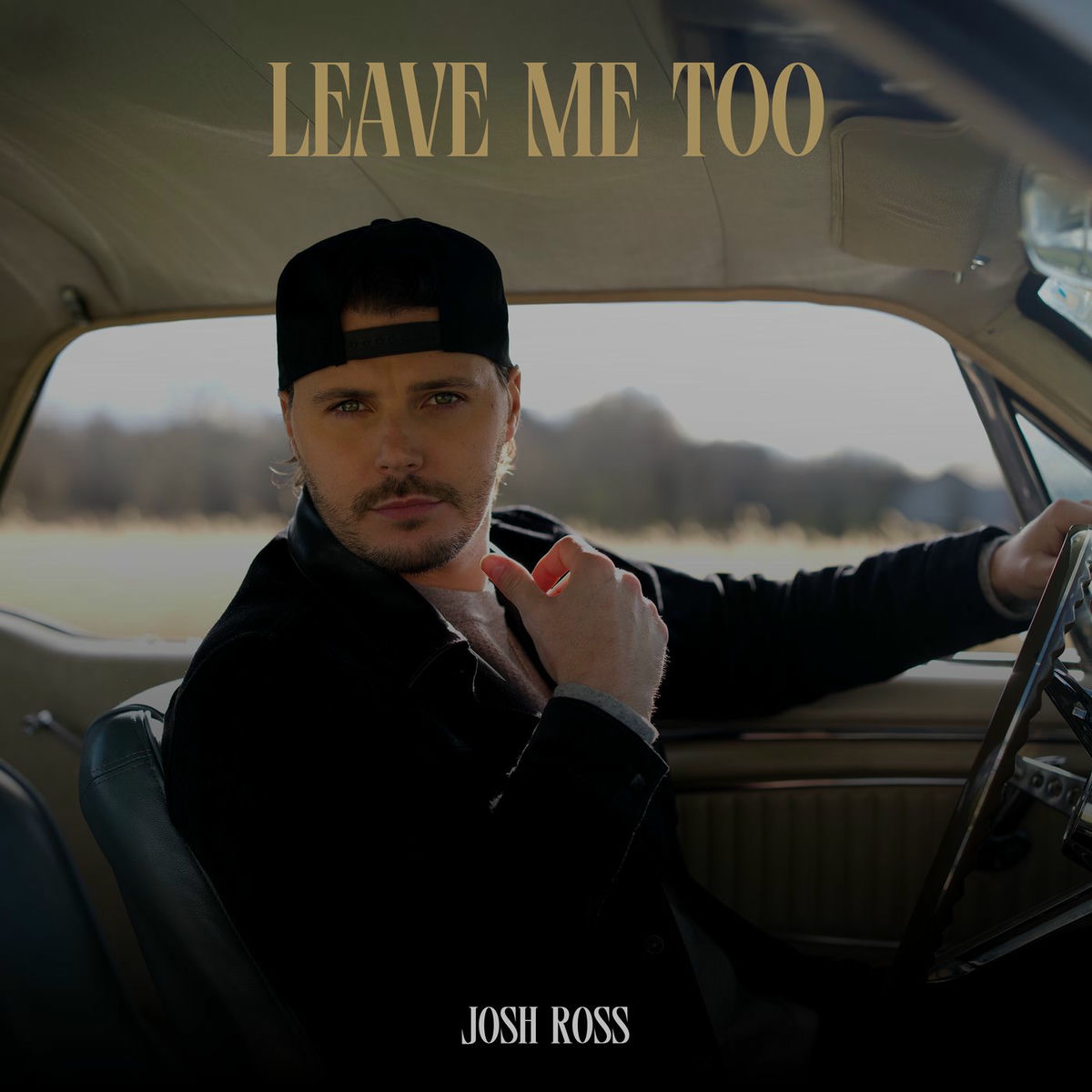 Album cover of Leave Me Too