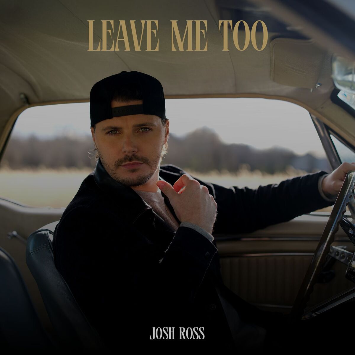 Album cover of Leave Me Too