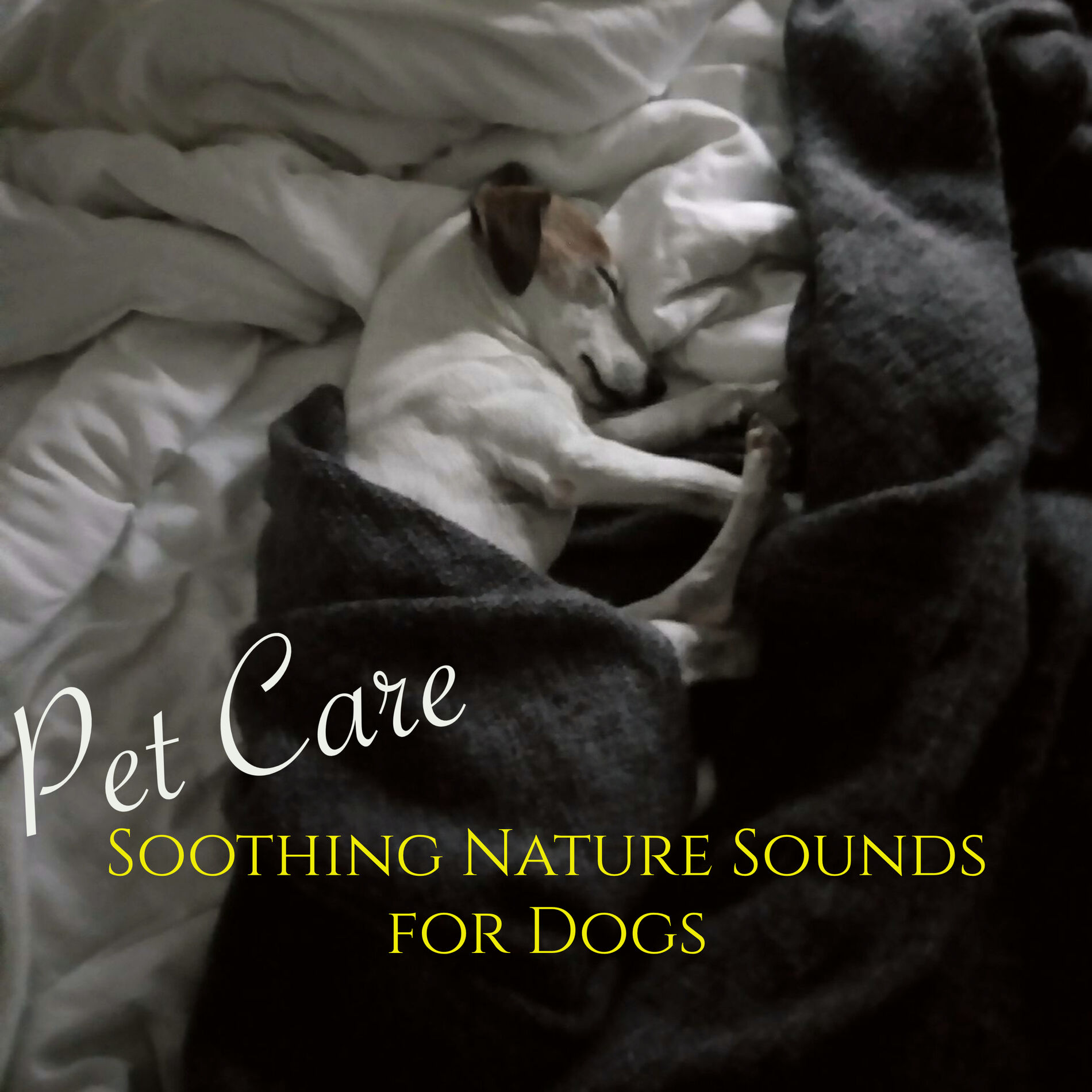Album cover of Pet Care Soothing Nature Sounds for Dogs – Relaxing Therapy Music for Pets