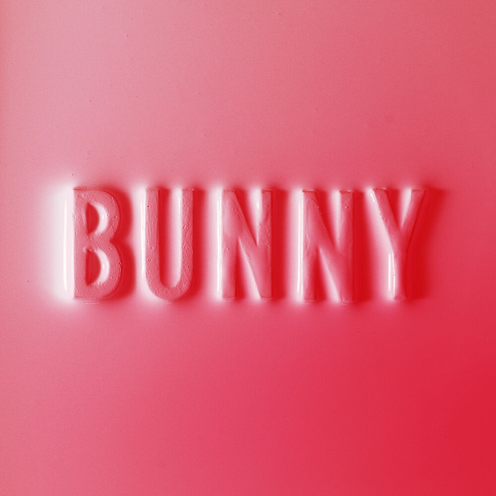 Picture of Bunny