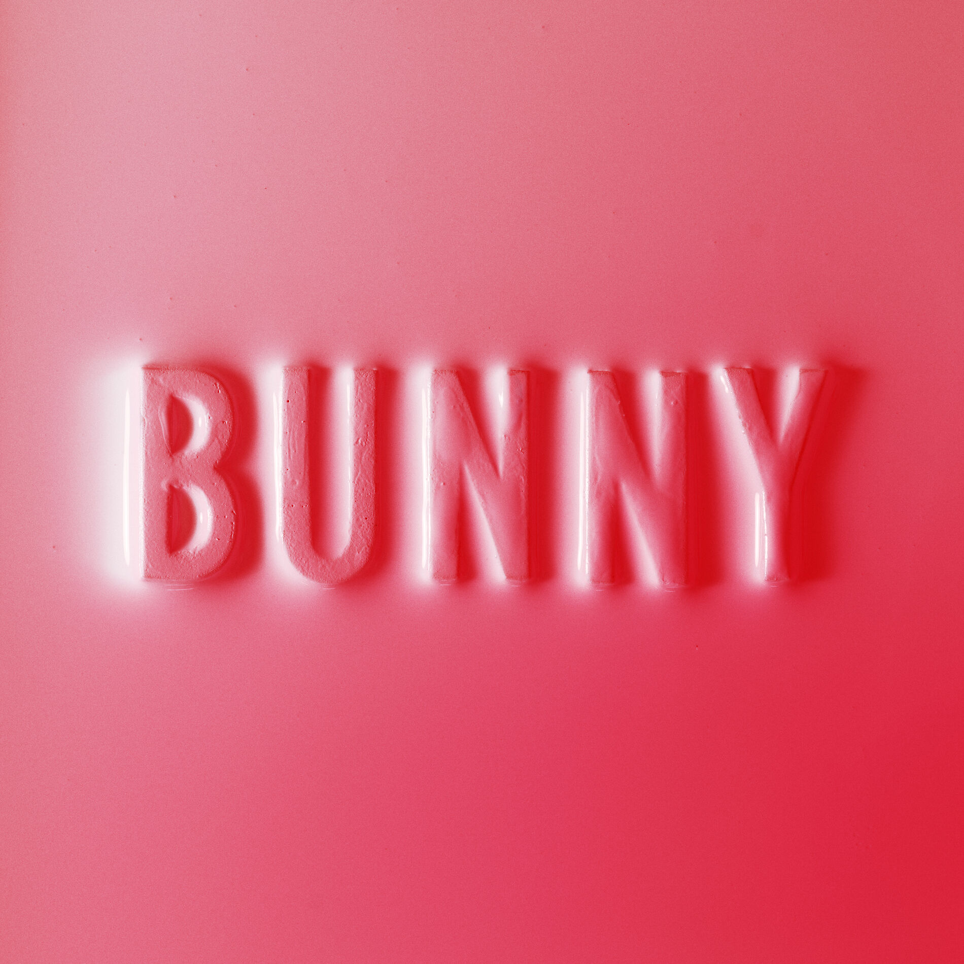 Album cover of Bunny