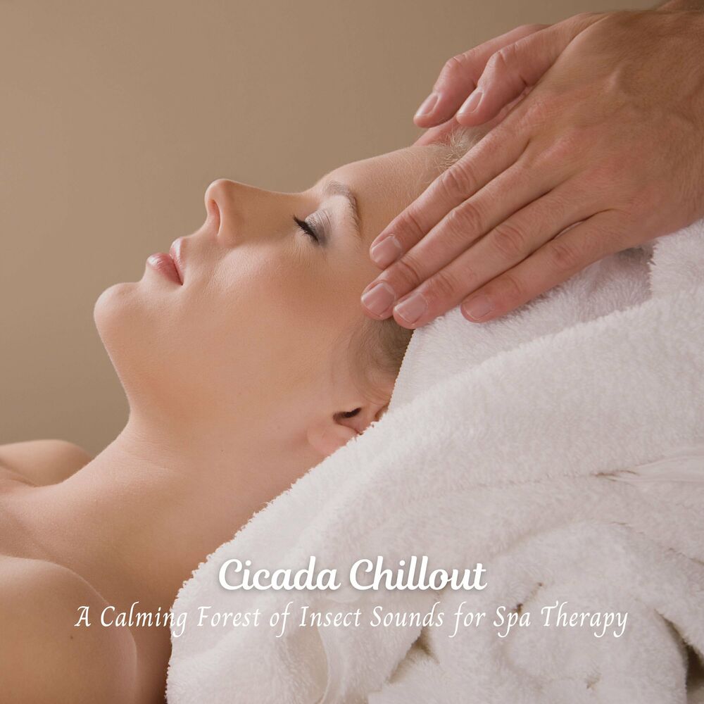 Picture of Cicada Chillout: A Calming Forest of Insect Sounds for Spa Therapy