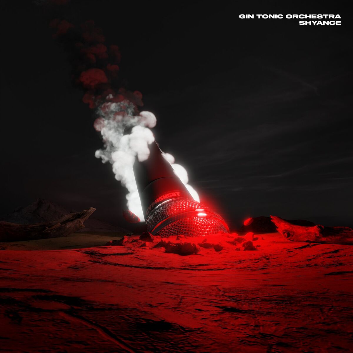 Album cover of La Couenne Rance