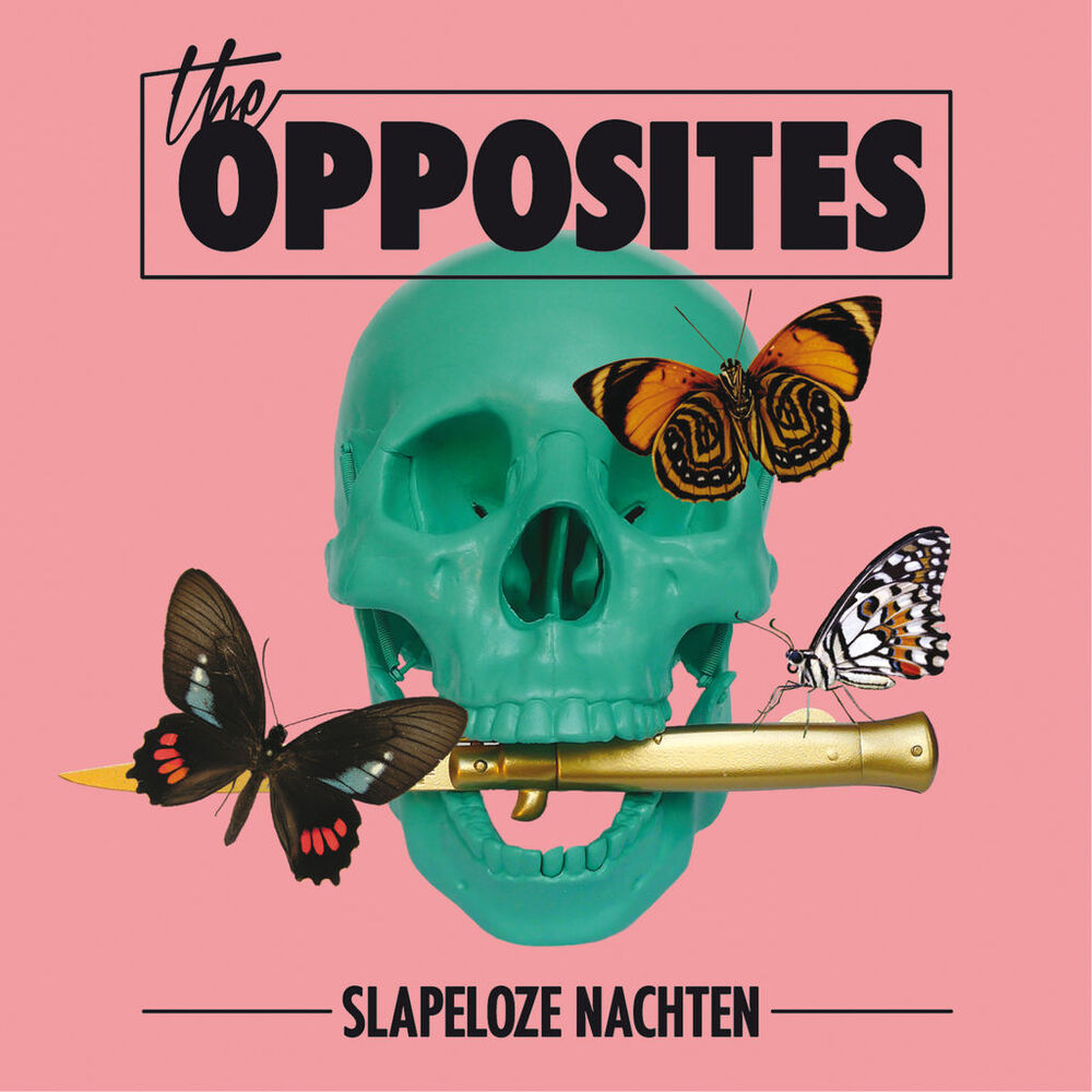 Picture of Slapeloze Nachten