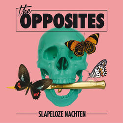 Cover of Slapeloze Nachten