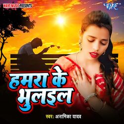 Cover of Hamra Ke Bhulail