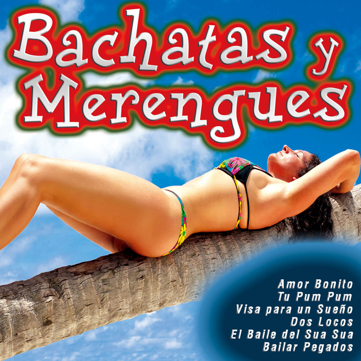 Album cover of Bachatas y Merengues
