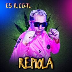 Cover of Es Ilegal