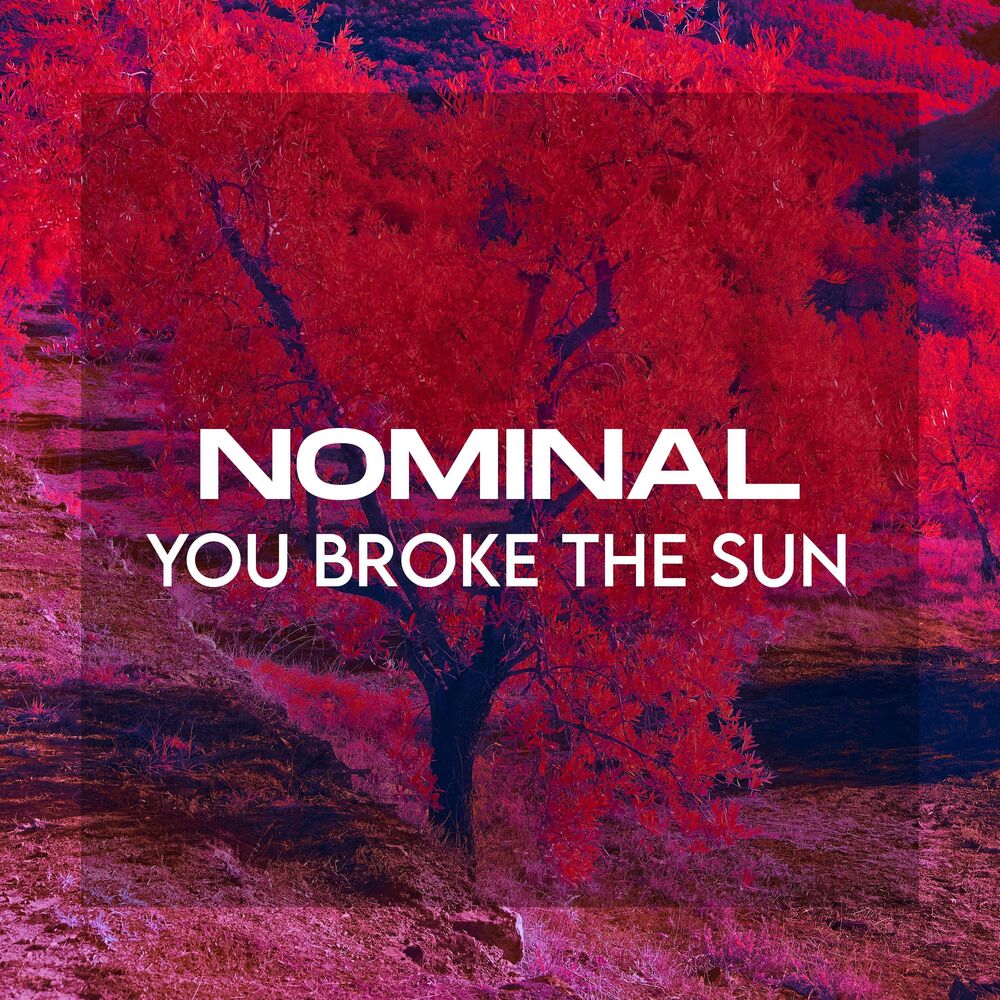 Picture of You Broke the Sun