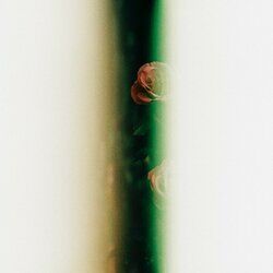 Cover of Secret Garden