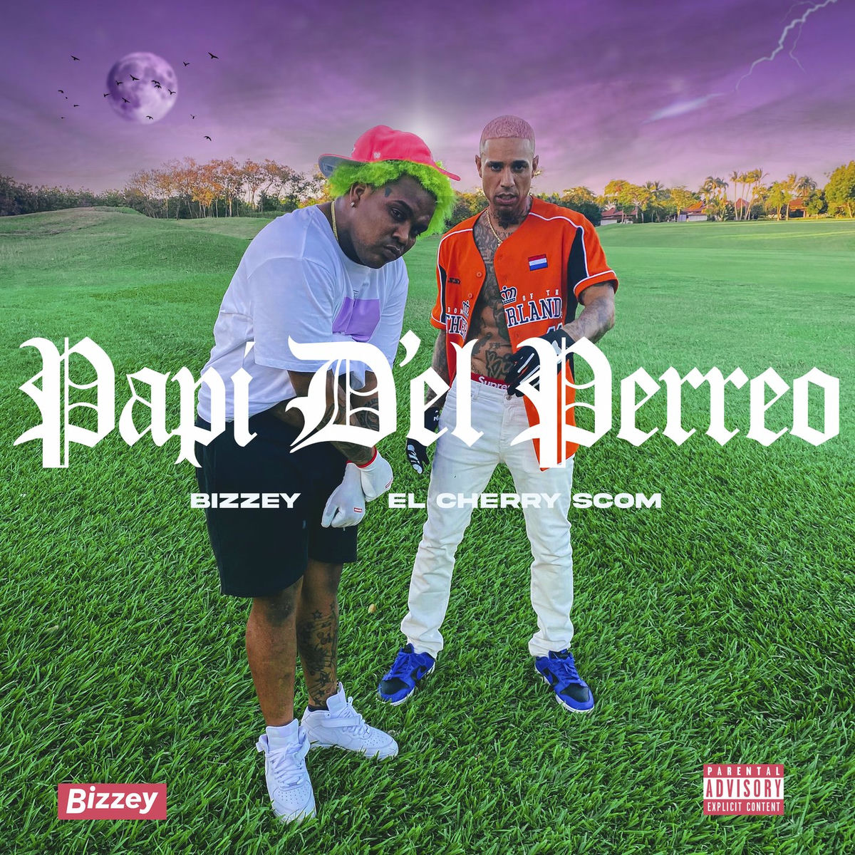 Album cover of Papi D’el Perreo