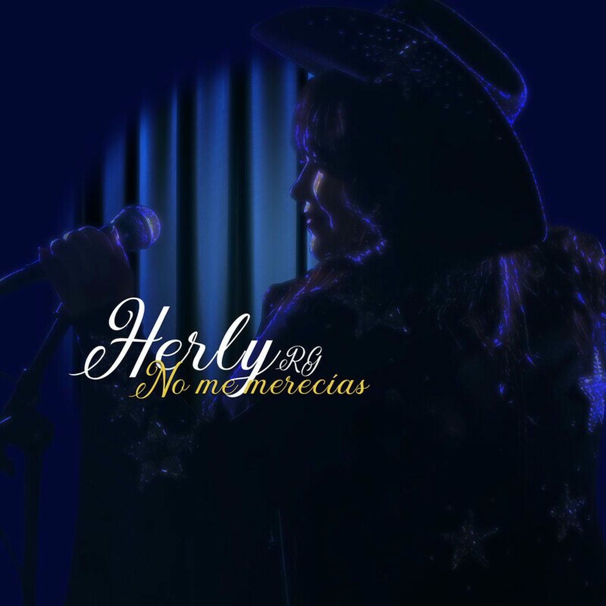 Album cover of No Me Merecías