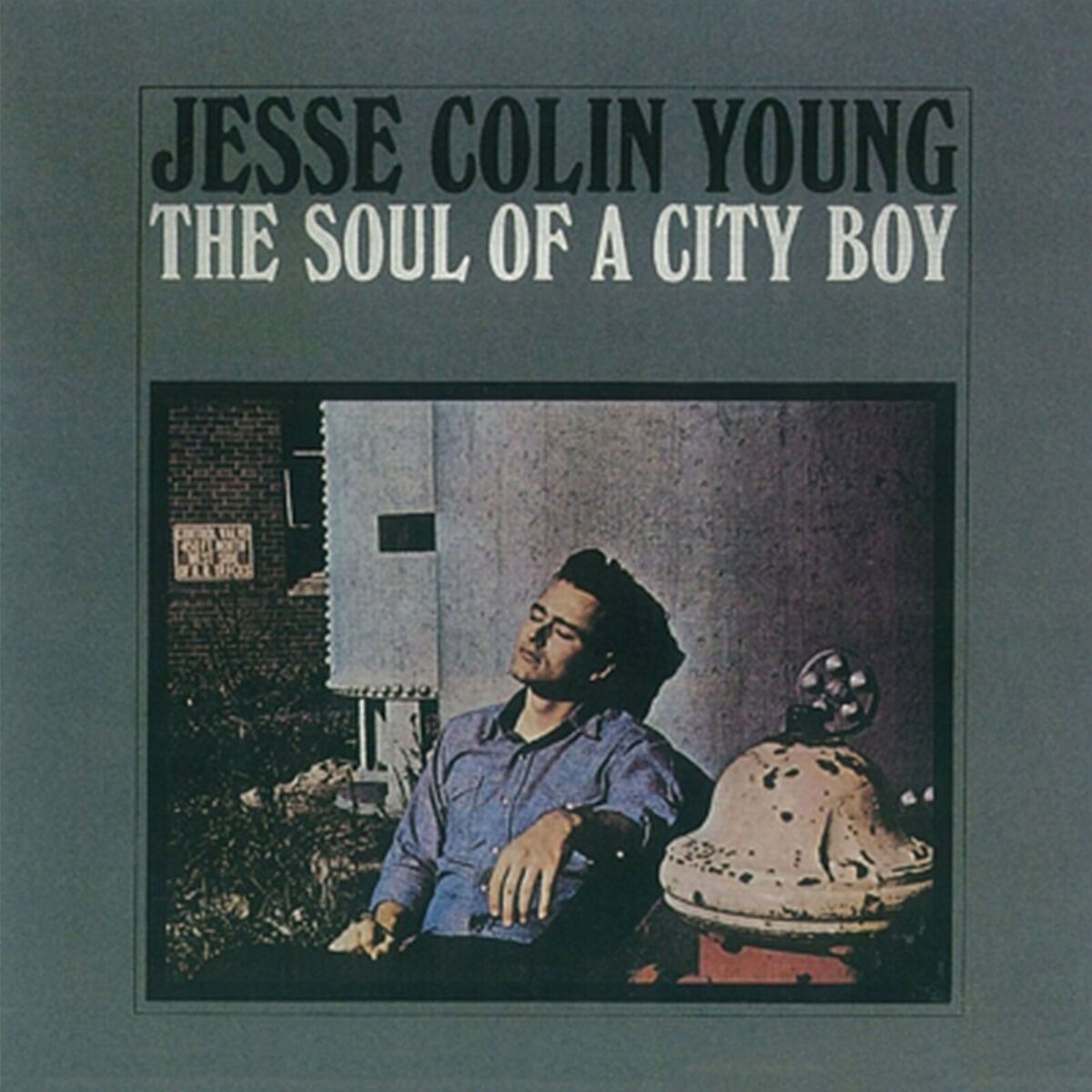 Album cover of The Soul of a City Boy