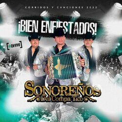 Cover of Bien Enfiestados 2022