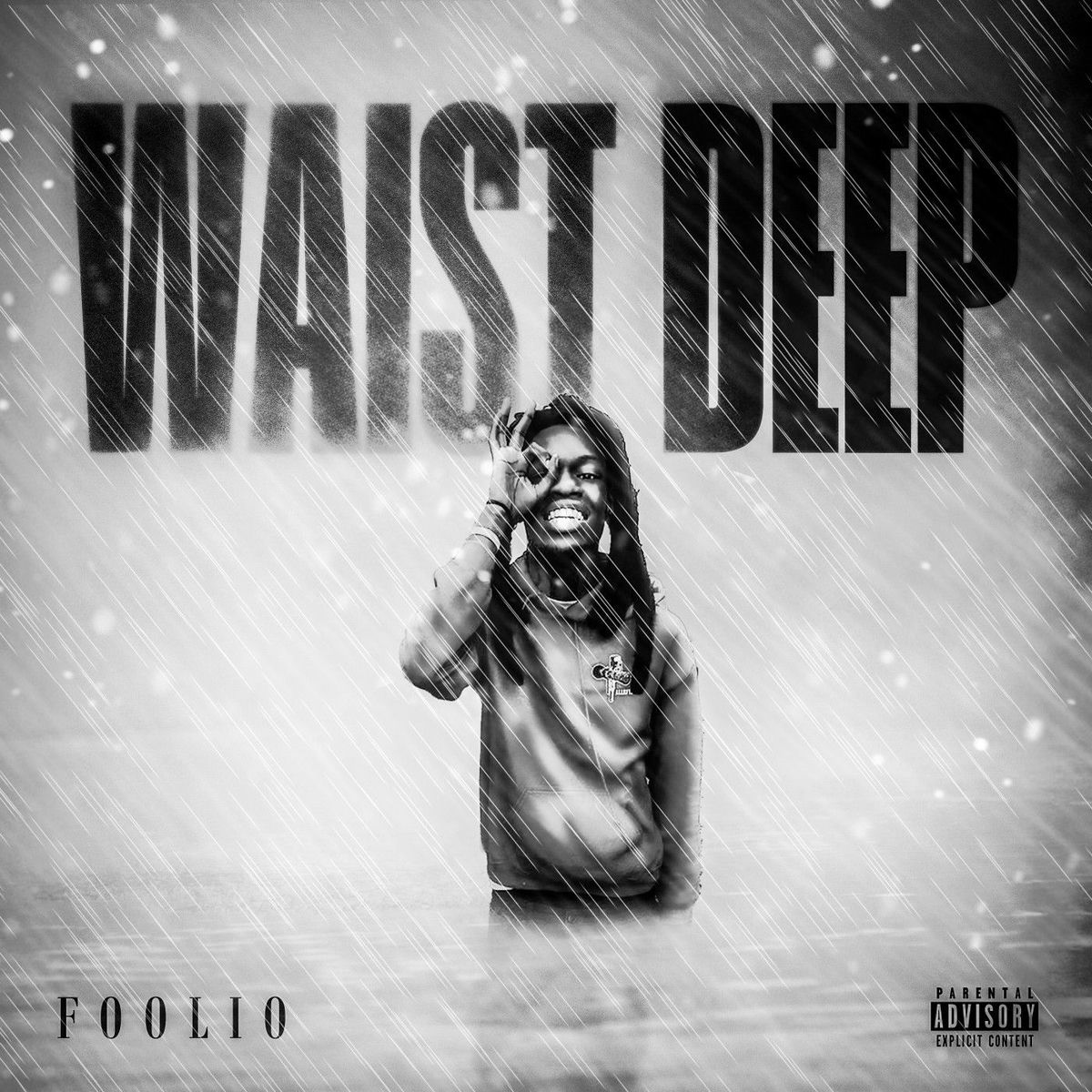 Album cover of Waist Deep