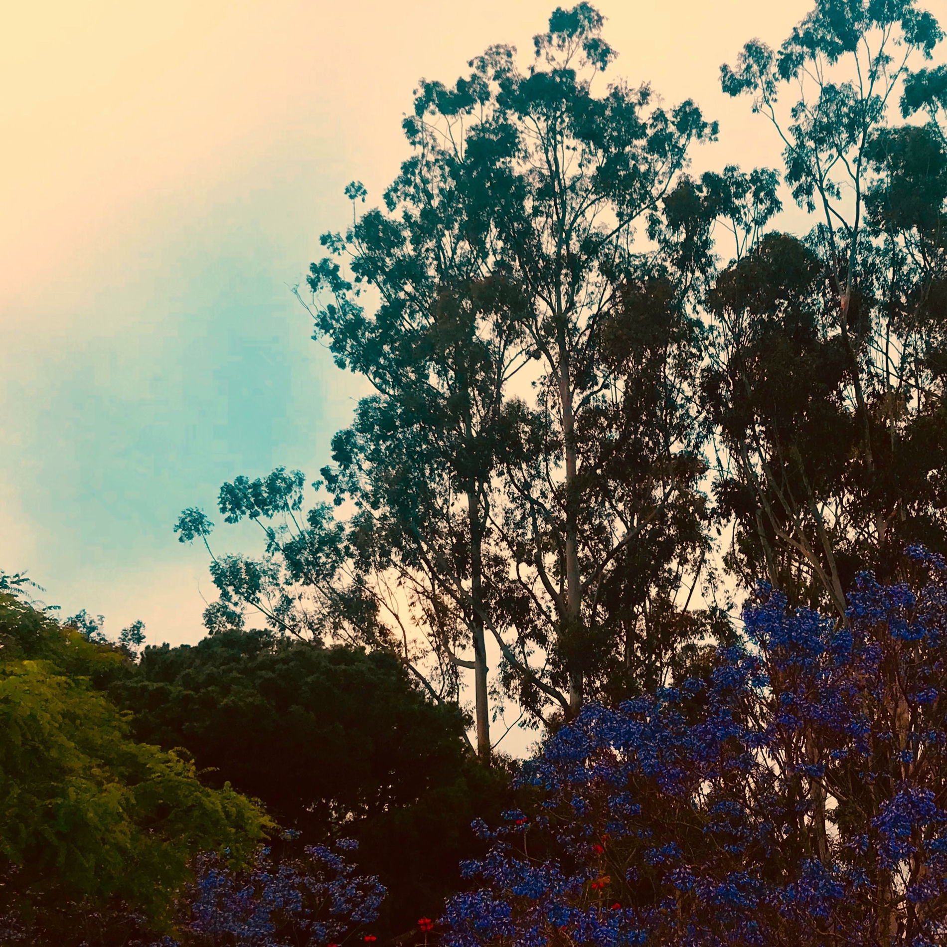 Album cover of Eventide