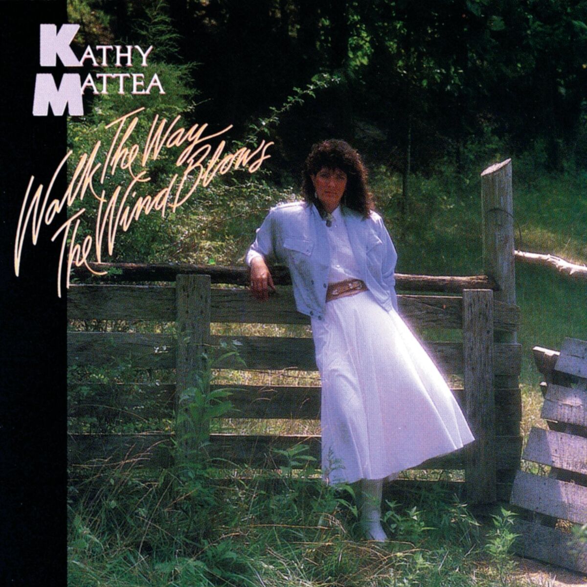 Album cover of Walk The Way The Wind Blows