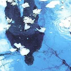 Cover of Brian Charette