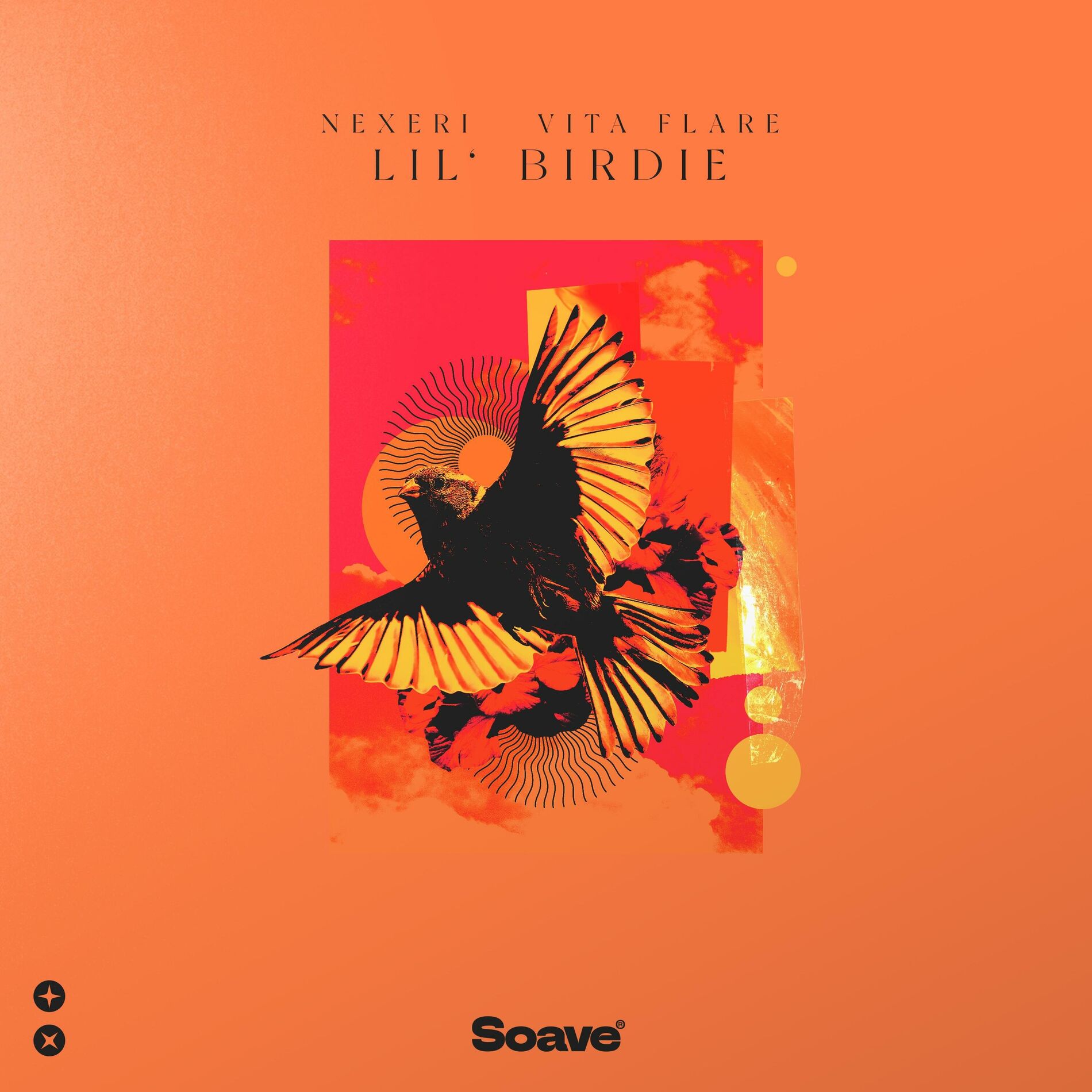 Album cover of Lil' Birdie