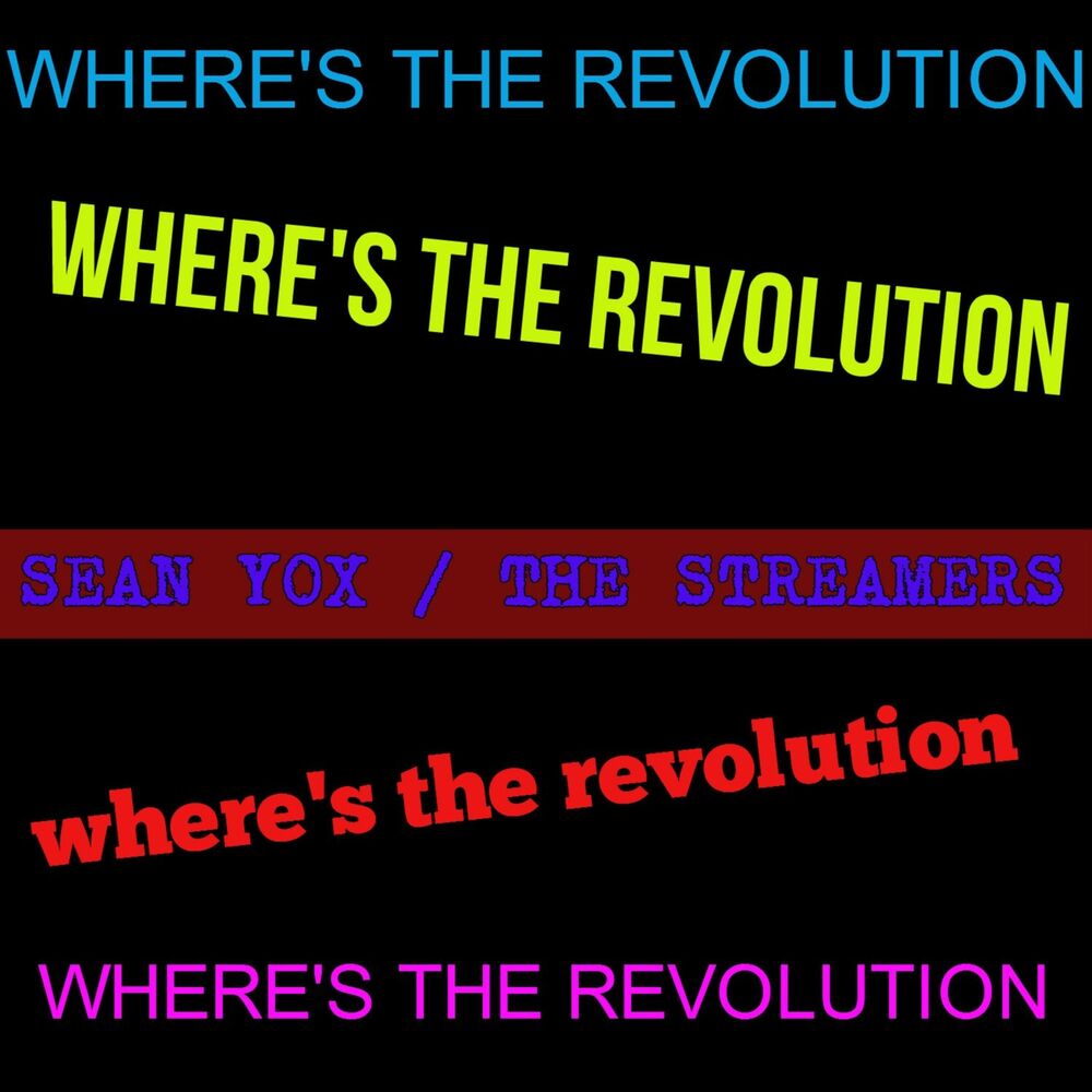 Picture of Where's the Revolution