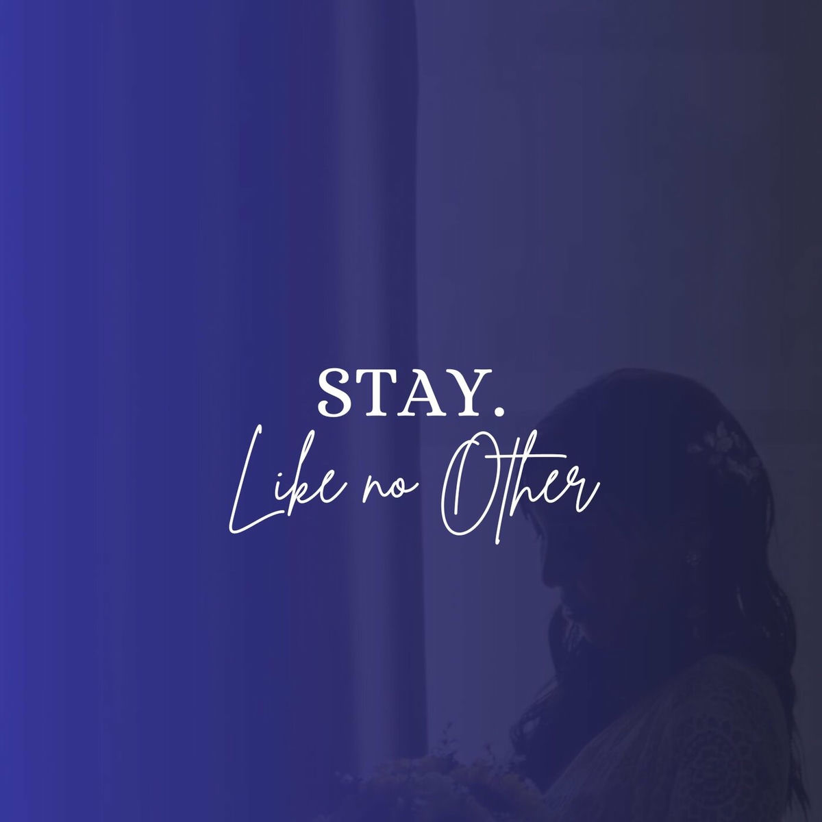 Album cover of Stay (Like No Other)