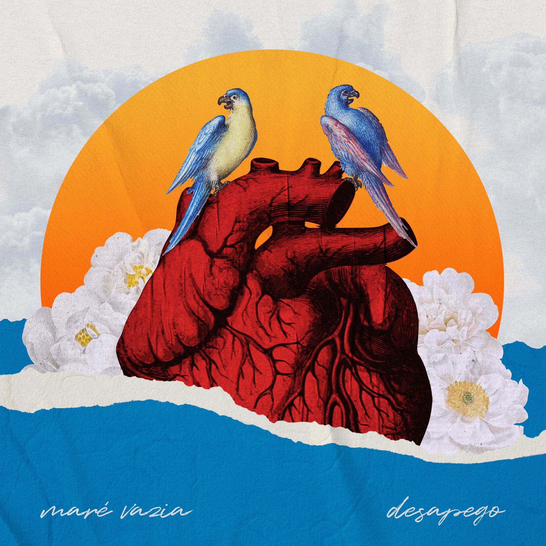 Album cover of Desapego