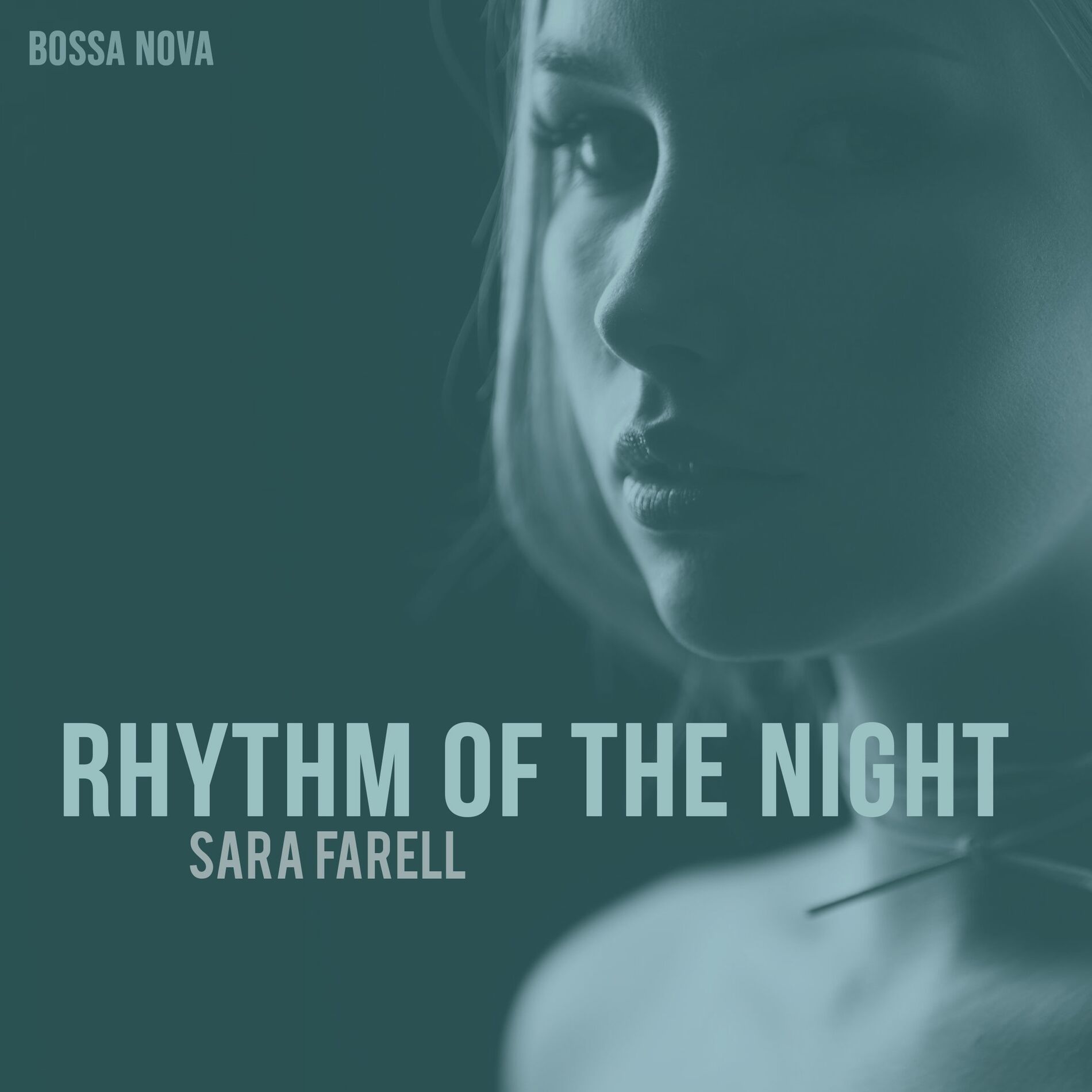 Album cover of The Rhythm of the Night