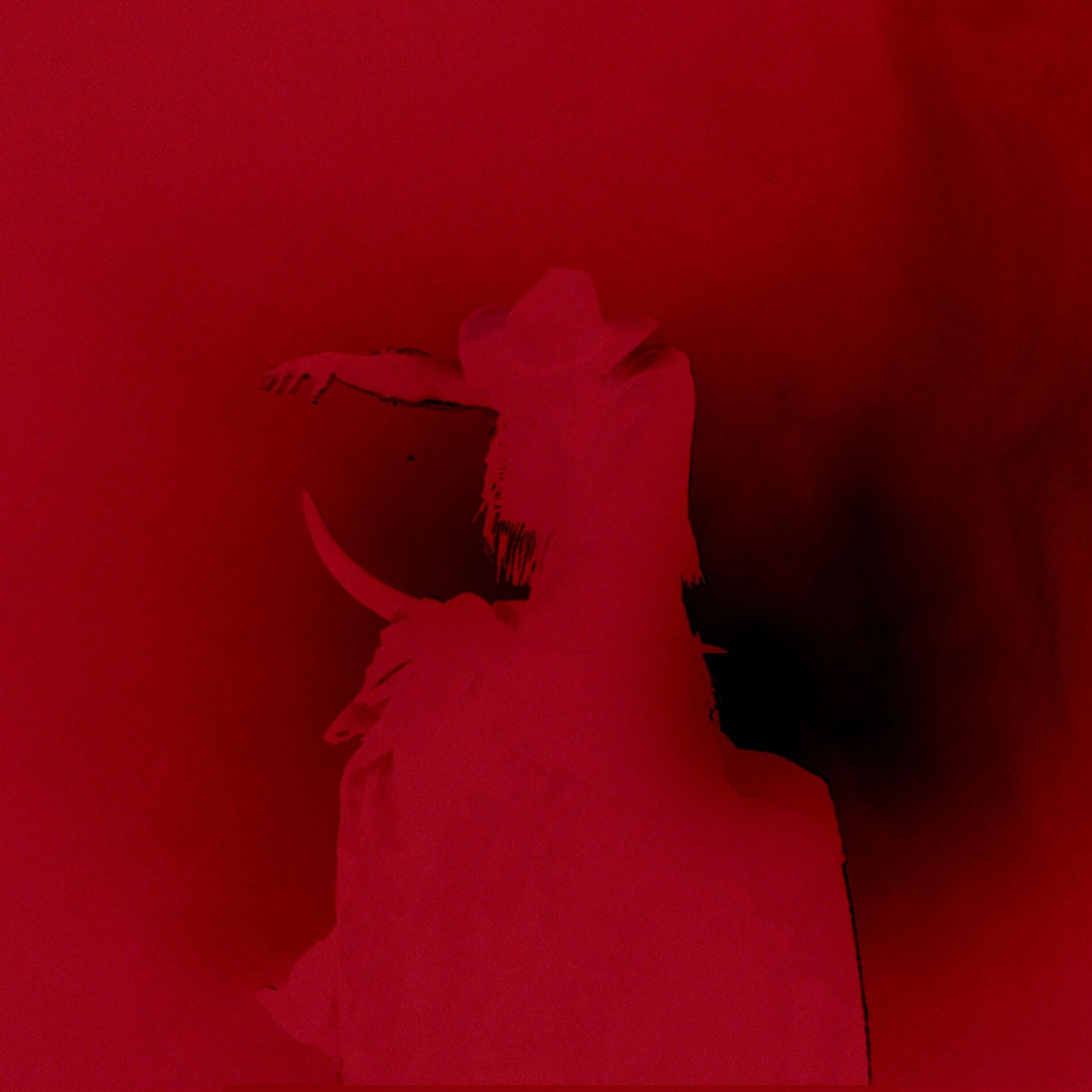 Album cover of Cowgirl (Midnight Magic Remix)