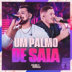 Cover of Um Palmo de Saia (Ao Vivo)
