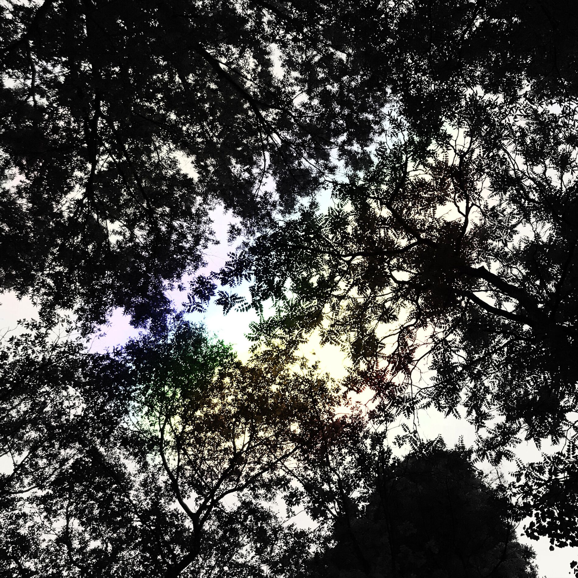 Album cover of light leaks