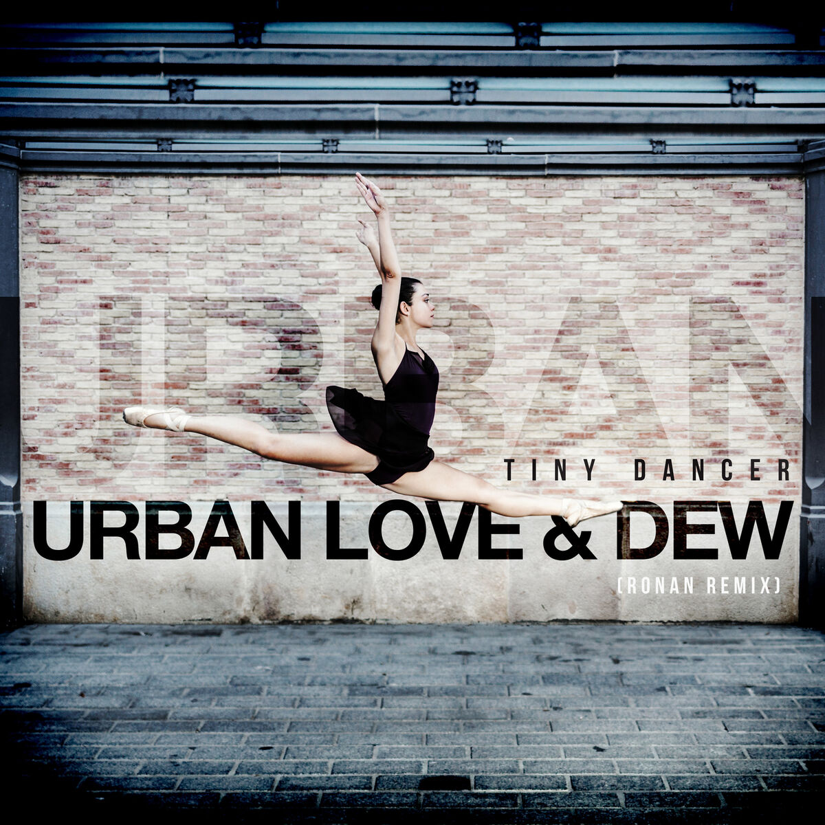 Album cover of Tiny Dancer