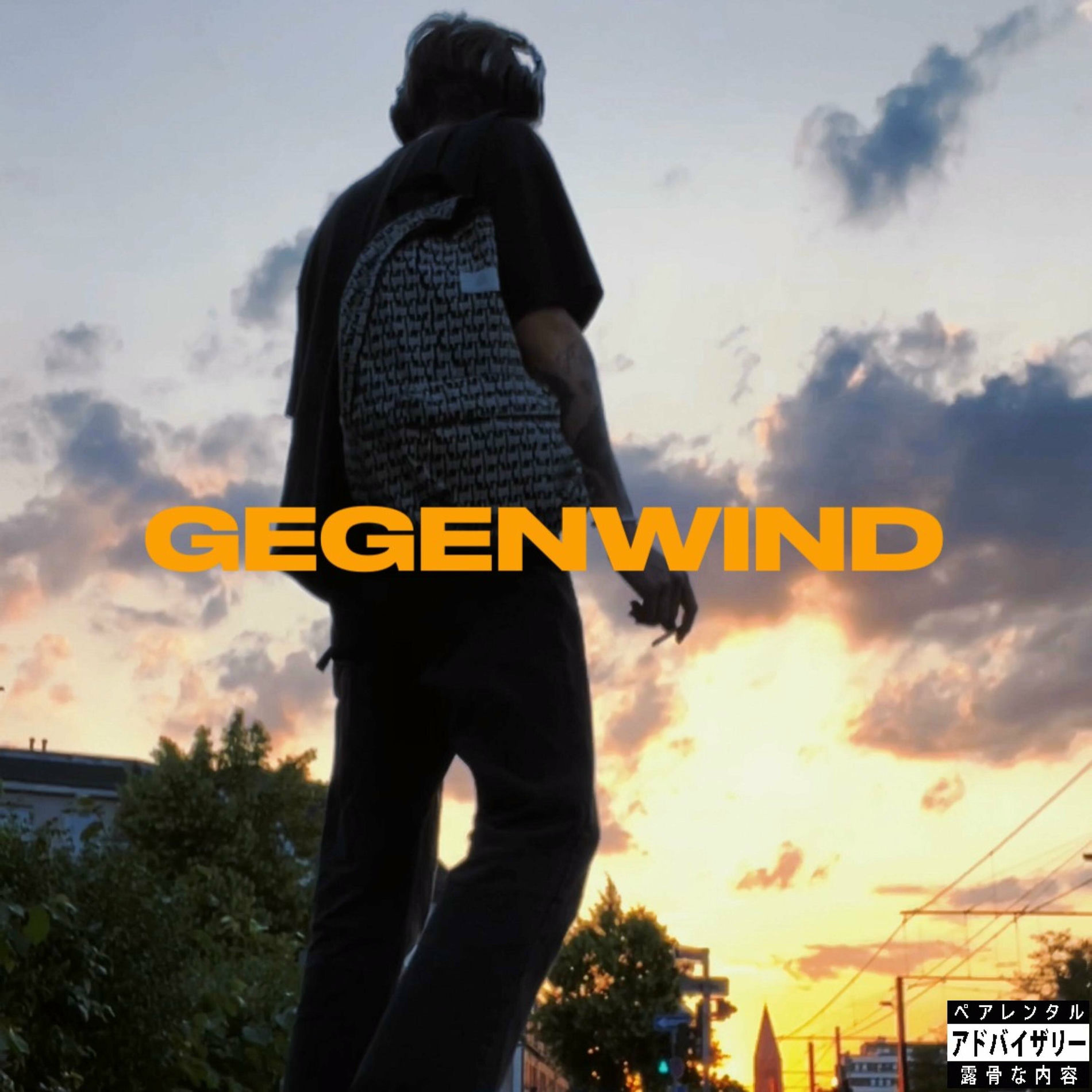 Album cover of GEGENWIND