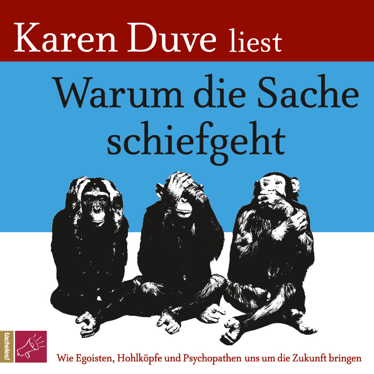 Album cover of Warum die Sache schiefgeht