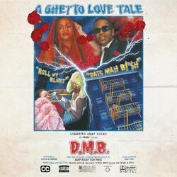 Cover of D.M.B.