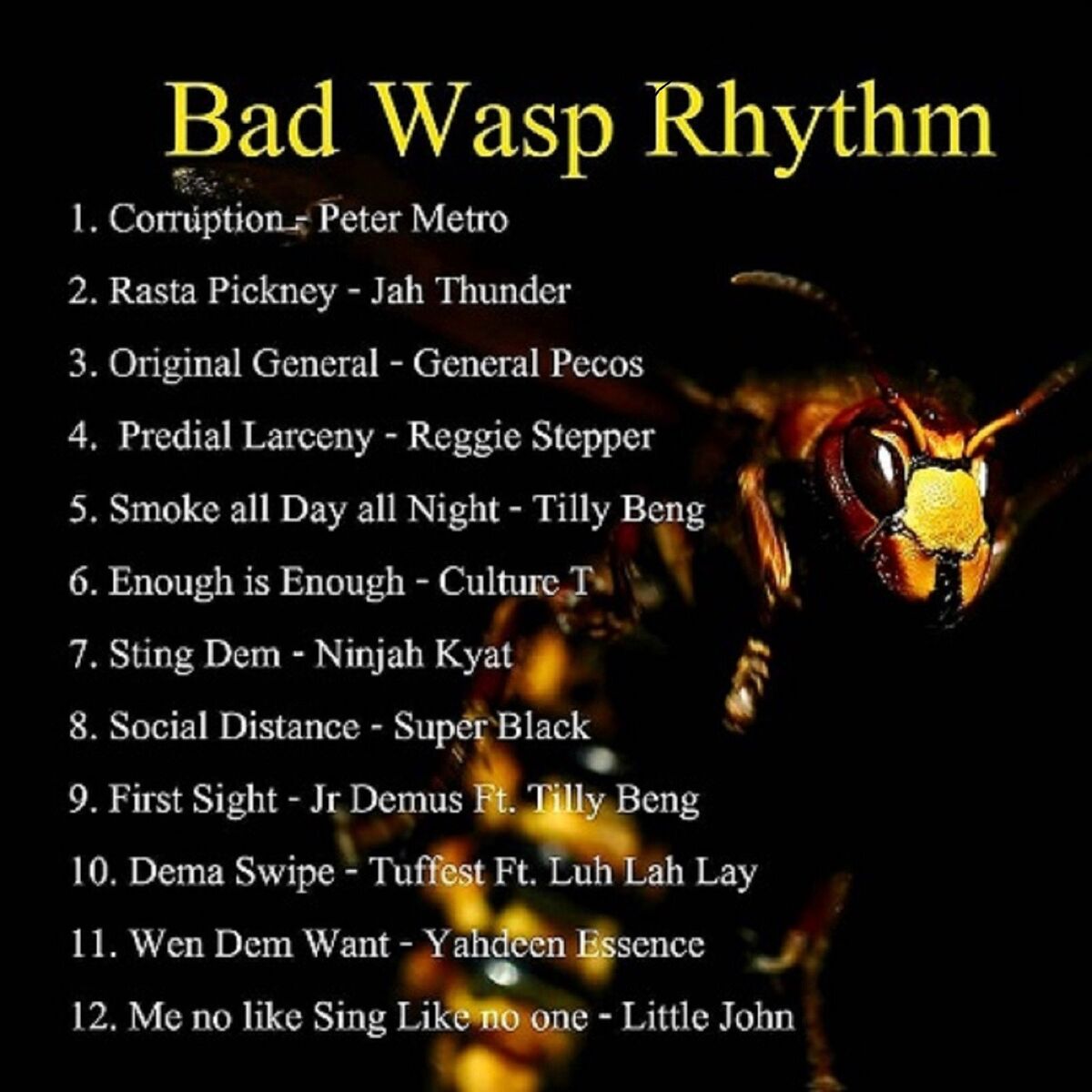Album cover of Bad Wasp