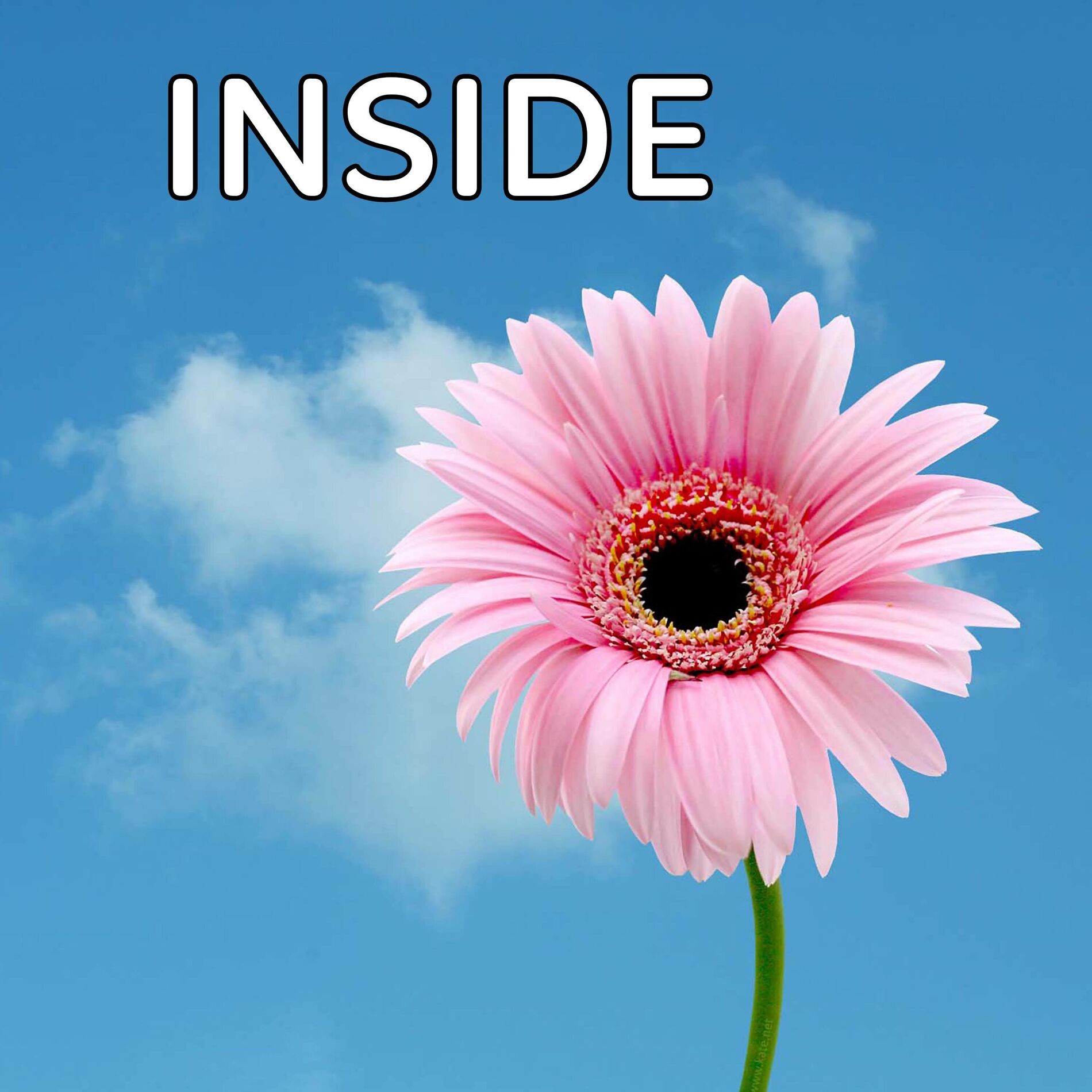 Album cover of Inside