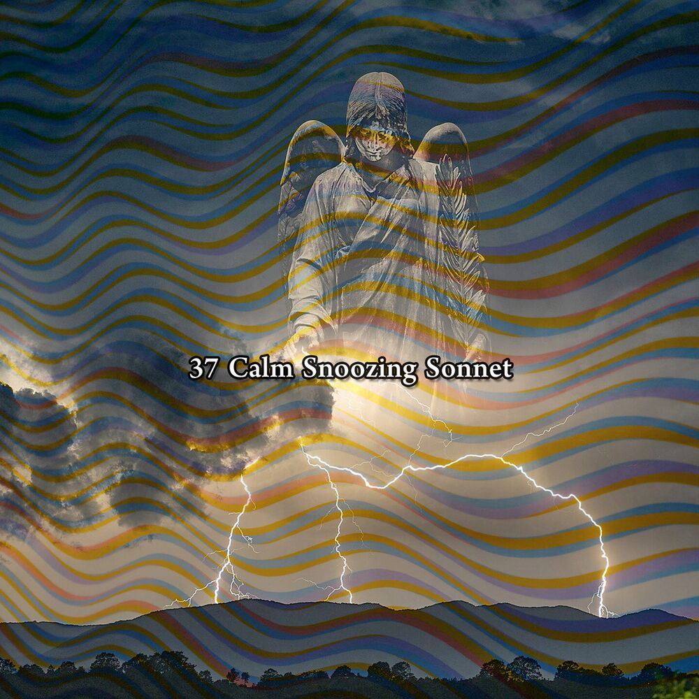 Picture of 37 Calm Snoozing Sonnet