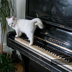Cover of Quiet & Slow Piano Music by undefined