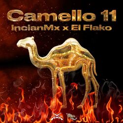 Cover of Camello 11