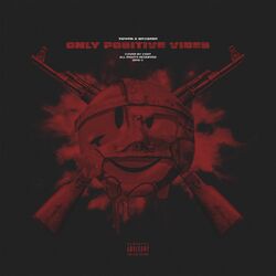 Cover of Only Positive Vibes