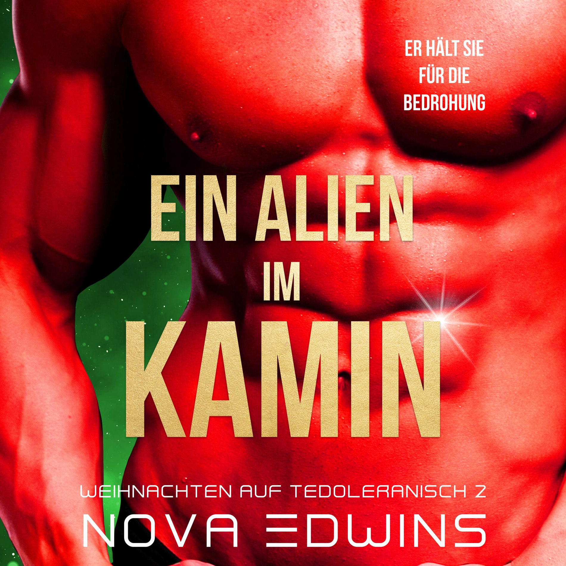 Album cover of Ein Alien im Kamin