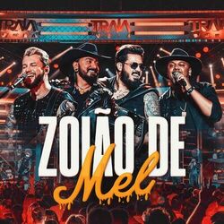 Cover of Zoião de Mel (Ao Vivo)