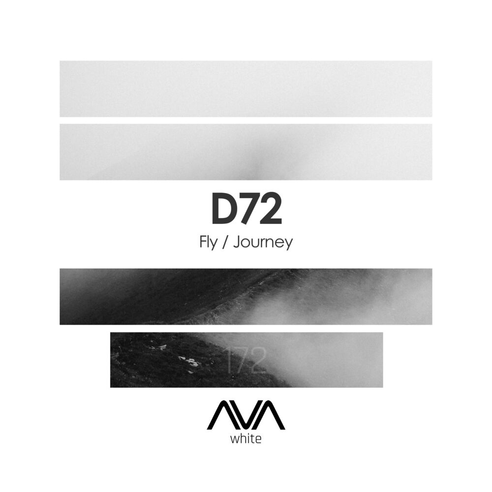 Picture of Fly / Journey